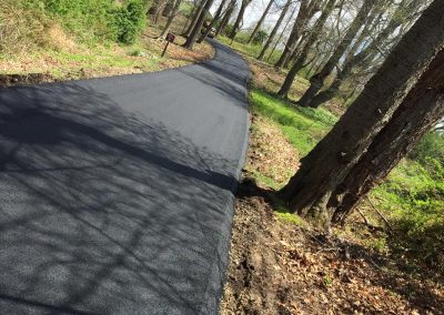 A newly paved path winding through a forested area with bare trees and scattered sunlight.