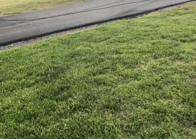 new driveway
