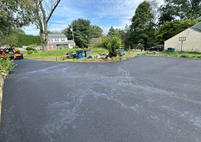 Newly paved residential driveway with surrounding greenery