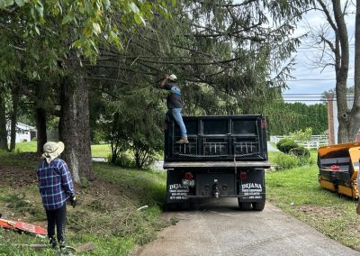 Person in truck holding tree